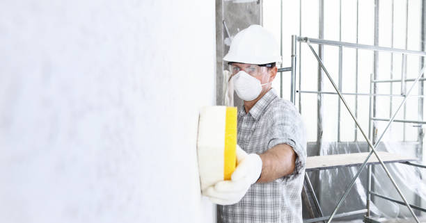 Best Emergency Mold Remediation  in West Mountain, UT