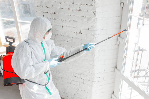 Best Mold Removal for HVAC Installations  in West Mountain, UT